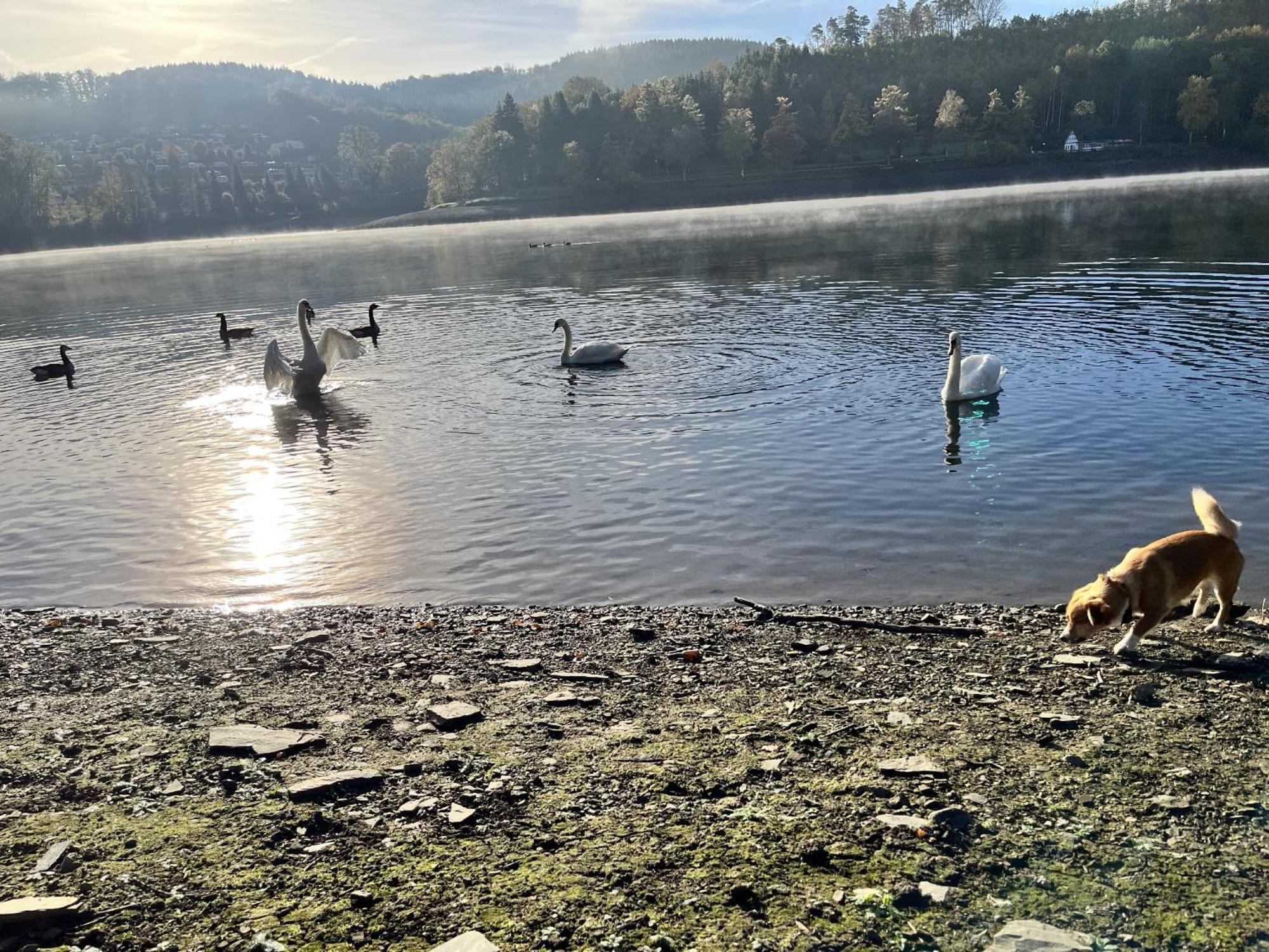 Haus Am Listersee Meinerzhagen Eksteriør billede